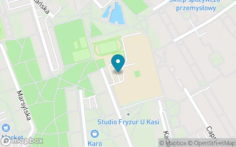 Lokalizacja: Szkoła Podstawowa nr 307 im. Króla Jana III Sobieskiego