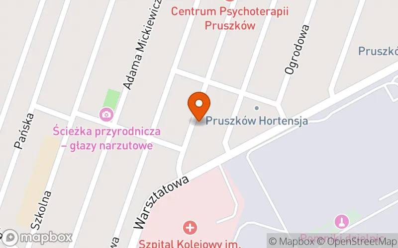 Lokalizacja: Niepubliczny Żłobek Wesołe Misie,Ewa Sasin