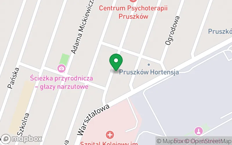 Lokalizacja: Niepubliczny Punkt Przedszkolny Wesołe Misie