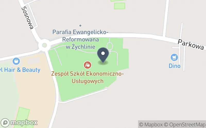 Lokalizacja: Zespół Szkół Ekonomiczno-Usługowych im. Fryderyka Chopina w Żychlinie