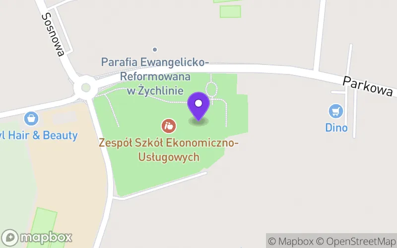 Lokalizacja: Technikum w Żychlinie
