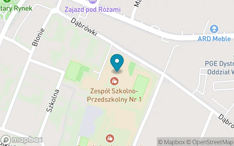 Lokalizacja: Szkoła Podstawowa nr 2 im. Dąbrówki