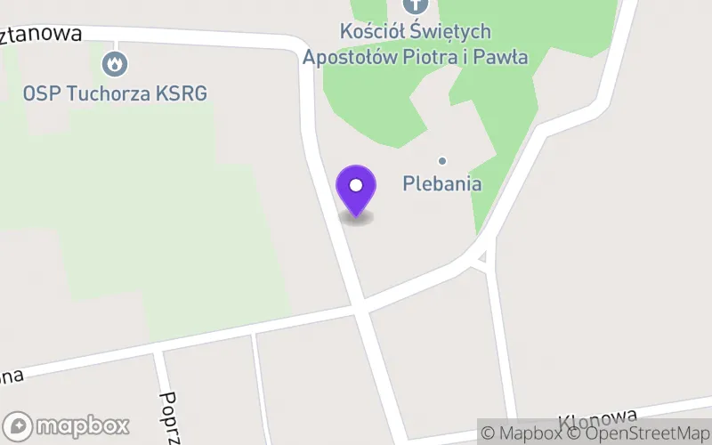 Lokalizacja: Szkoła Branżowa II Stopnia Lider w Tuchorzy