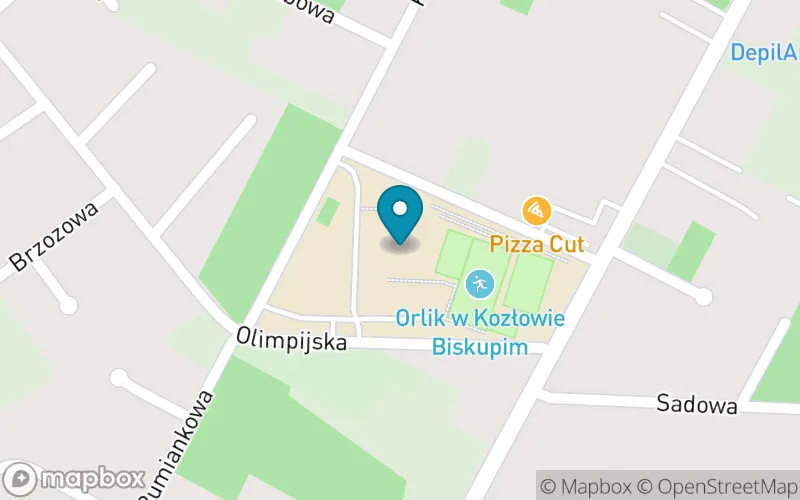 Lokalizacja: Szkoła Podstawowa im. Kornela Makuszyńskiego w Kozłowie Biskupim