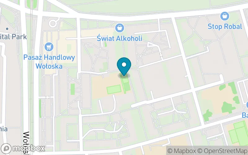 Lokalizacja: Społeczna Szkoła Podstawowa nr 14 im. Dzieci Zjednoczonej Europy Społecznego Towarzystwa Oświatowego
