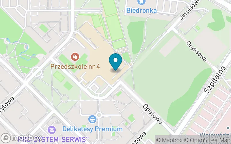 Lokalizacja: Szkoła Podstawowa nr 15 im. Polskich Olimpijczyków w Koninie