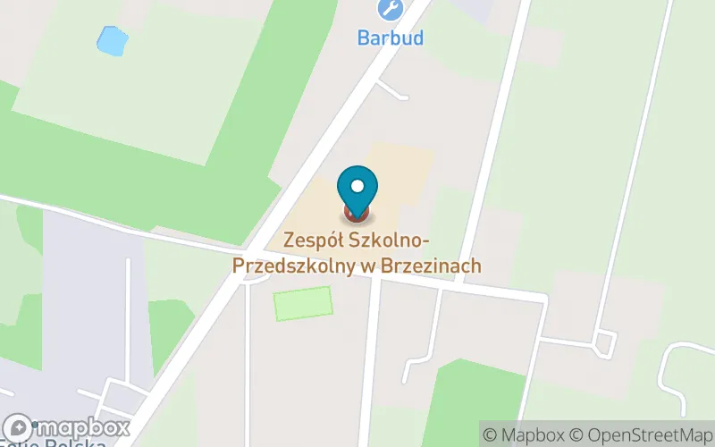 Lokalizacja: Szkoła Podstawowa im. VII Obwodu AK "Obroża" w Brzezinach