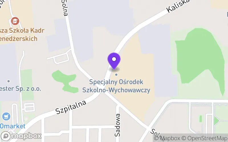 Lokalizacja: Branżowa Szkoła Specjalna I Stopnia w Specjalnym Ośrodku Szkolno-Wychowawczym im. Janusza Korczaka w Koninie