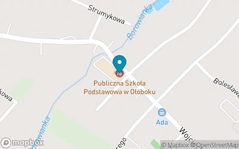 Lokalizacja: Szkoła Podstawowa im. Bohaterów Powstania Warszawskiego w Ołoboku