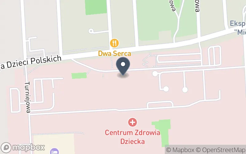 Lokalizacja: Zespół Szkół Specjalnych nr 78 im. Ewy Szelburg-Zarembiny w Instytucie "Pomnik Centrum Zdrowia Dziecka"