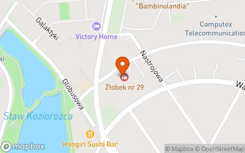 Lokalizacja: Żłobek nr 29