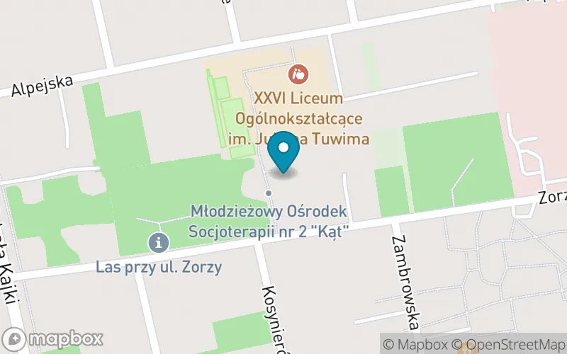 Lokalizacja: Szkoła Podstawowa Specjalna nr 393 w Młodzieżowym Ośrodku Socjoterapii nr 2 "Kąt"