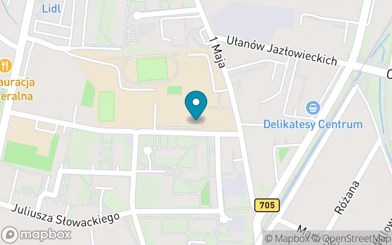 Lokalizacja: Szkoła Podstawowa nr 1 im. Jana Pawła II w Sochaczewie