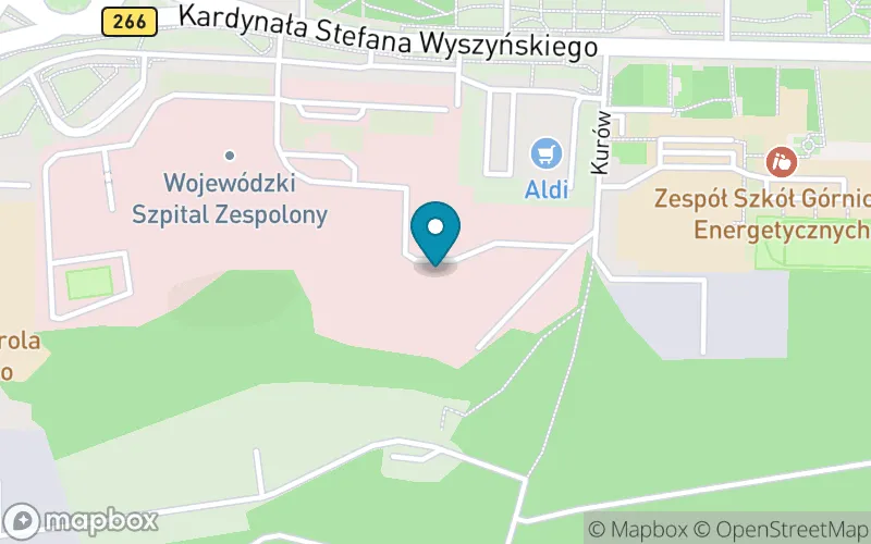 Lokalizacja: Szkoła Podstawowa przy Wojewódzkim Szpitalu Zespolonym im. Dr. Romana Ostrzyckiego w Koninie