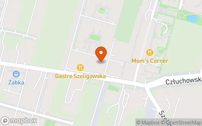 Lokalizacja: Niepubliczny Żłobek Gadu- Gadu