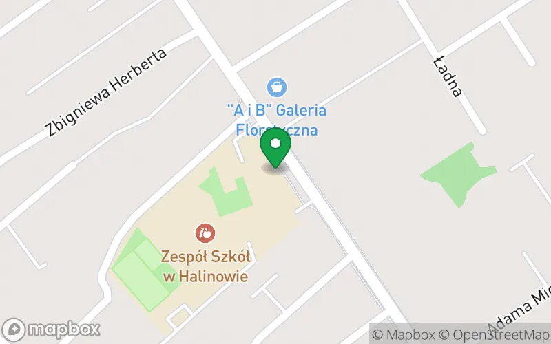 Lokalizacja: Przedszkole w Halinowie