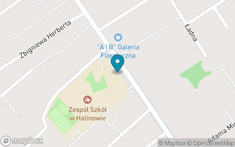 Lokalizacja: Niepubliczna Szkoła Muzyczna i St. w Halinowie