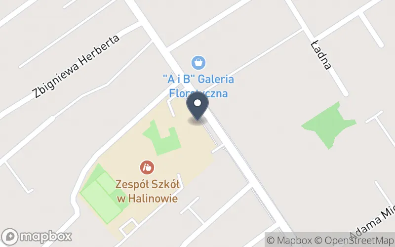 Lokalizacja: Zespół Szkolno-Przedszkolny w Halinowie