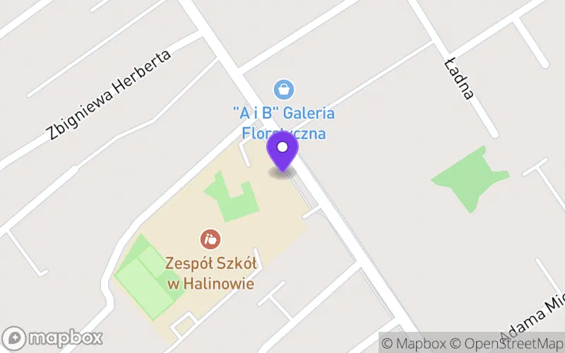 Lokalizacja: Niepubliczna Szkoła Muzyczna II Stopnia w Halinowie