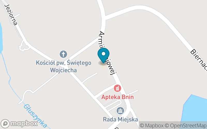 Lokalizacja: Szkoła Podstawowa nr 2 im. Teofili z Działyńskich Szołdrskiej-Potulickiej w Kórniku