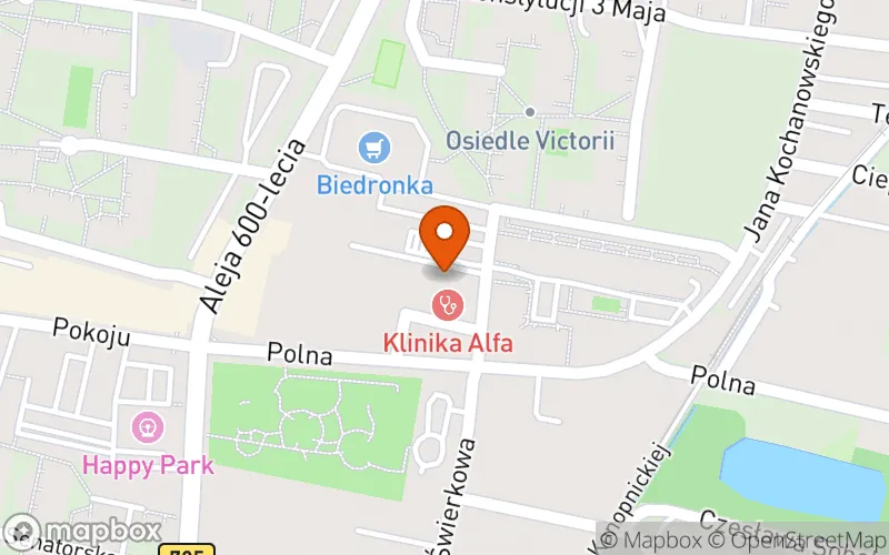 Lokalizacja: Żłobek Wesołe Żabki