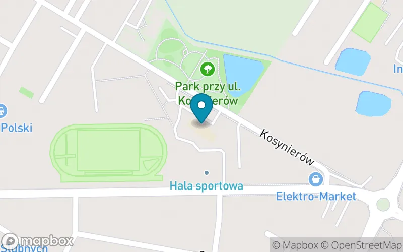 Lokalizacja: Szkoła Podstawowa Edu-XXI w Środzie Wielkopolskiej