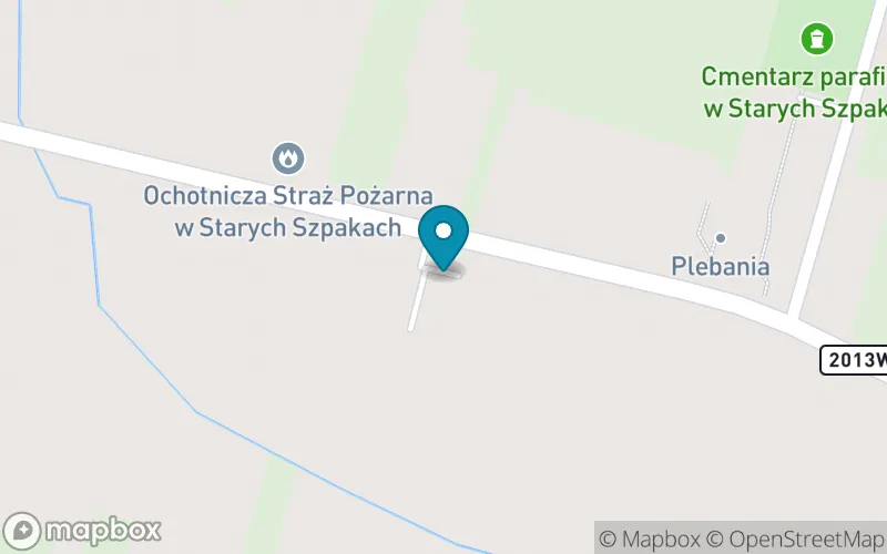 Lokalizacja: Szkoła Podstawowa im. Błogosławionej Karoliny Kózkówny w Starych Szpakach