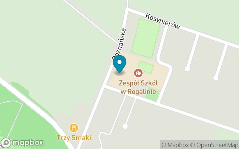 Lokalizacja: Szkoła Podstawowa im. Prezydenta RP Edwarda Raczyńskiego w Rogalinie