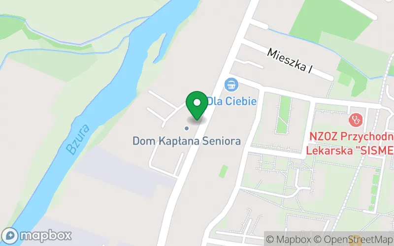 Lokalizacja: Przedszkole Niepubliczne Diecezji Łowickiej im. Św. Aniołów Stróżów