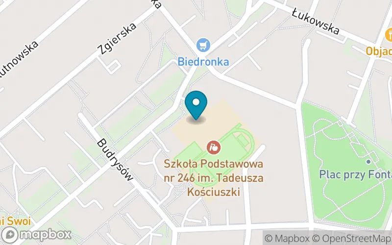 Lokalizacja: Szkoła Podstawowa nr 246 im. Tadeusza Kościuszki