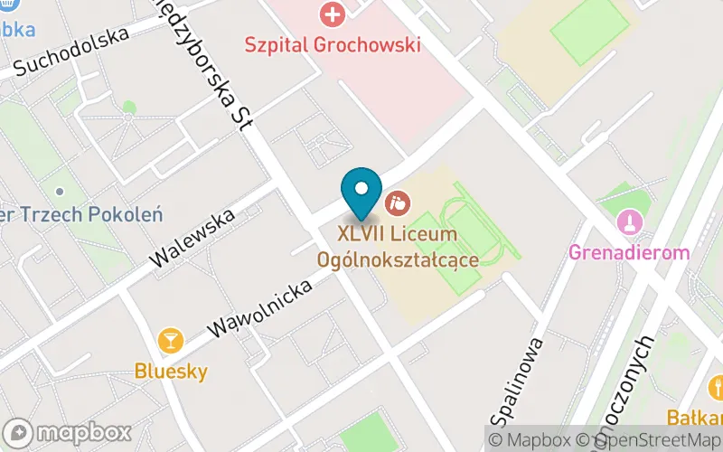 Lokalizacja: Szkoła Podstawowa nr 120 z Oddziałami Integracyjnymi im. Pułków Piechoty "Dzieci Warszawy"