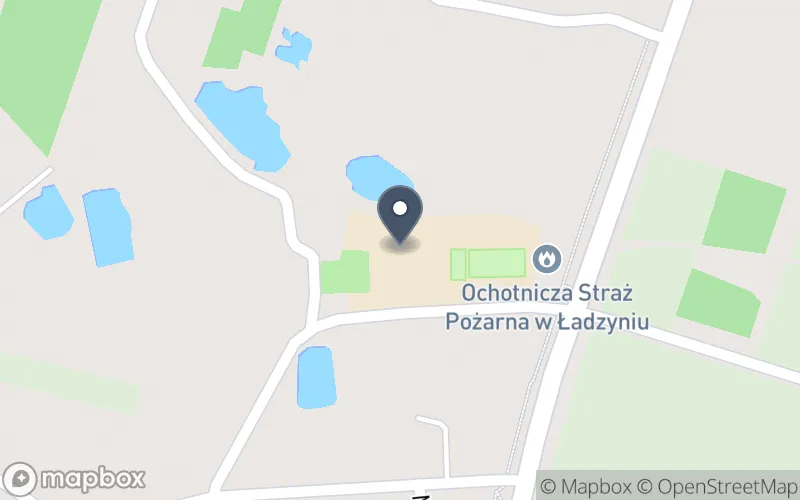 Lokalizacja: Zespół Szkolny w Ładzyniu