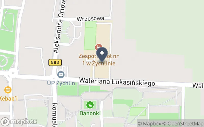 Lokalizacja: Zespół Szkół nr 1 w Żychlinie