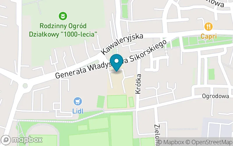 Lokalizacja: Szkoła Podstawowa nr 1 im. Mikołaja Kopernika w Świebodzinie