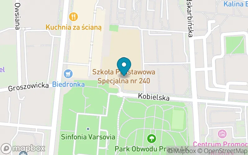 Lokalizacja: Szkoła Podstawowa Specjalna nr 240
