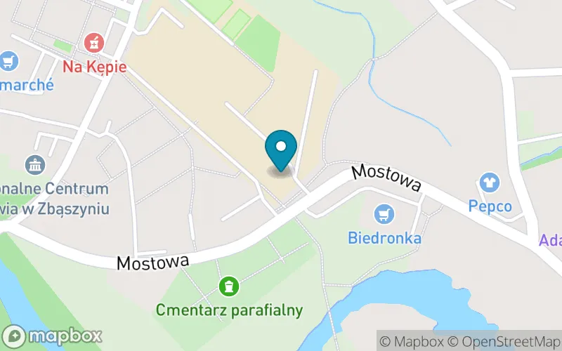Lokalizacja: Szkoła Podstawowa im. Arkadego Fiedlera w Zbąszyniu