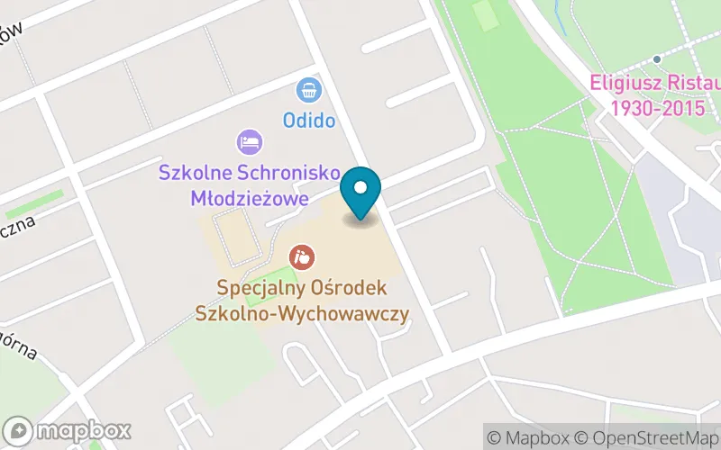Lokalizacja: Publiczna Szkoła Podstawowa Specjalna w Świebodzinie