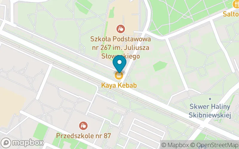 Lokalizacja: Szkoła Podstawowa nr 267 im. Juliusza Słowackiego