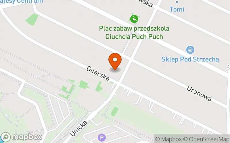Lokalizacja: Niepubliczny Żłobek Planeta Marzeń