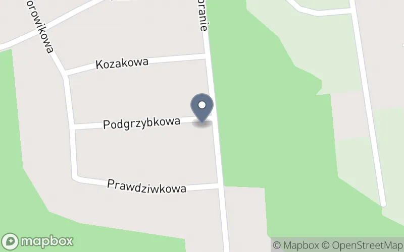 Lokalizacja: Centrum Pigmentacji Paulina Majkowska