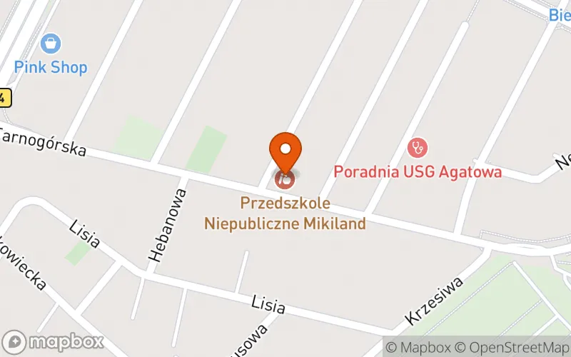 Lokalizacja: Niepubliczny Żłobek MikiLand