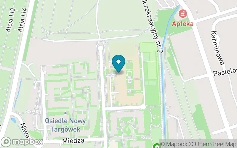 Lokalizacja: Szkoła Podstawowa nr 398 im. Magdaleny Abakanowicz