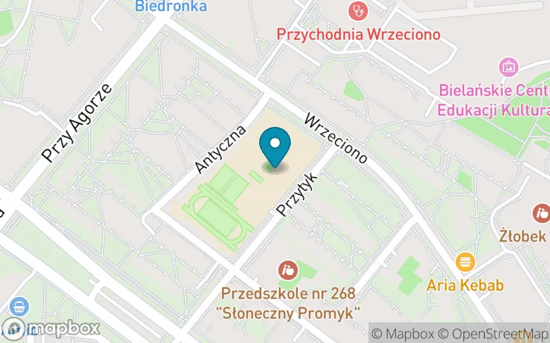 Lokalizacja: Szkoła Podstawowa z Oddziałami Integracyjnymi nr 247 im. Kazimierza Lisieckiego "Dziadka"