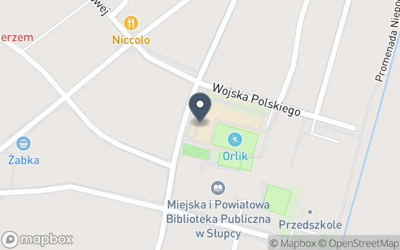 Lokalizacja: Zespół Szkół Ekonomicznych im. Maksymiliana Jackowskiego w Słupcy