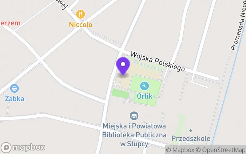 Lokalizacja: Zespół Szkół Ekonomicznych w Słupcy im. Masymiliana Jackowskiego - Liceum Ogólnokształcące nr II