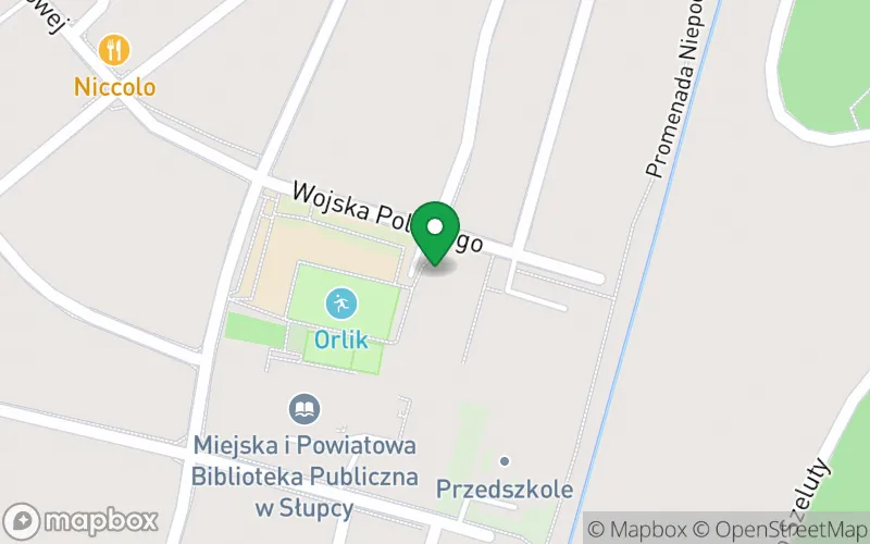 Lokalizacja: Przedszkole Specjalne w Specjalnym Ośrodku Szkolno-Wychowawczym im. Marii Grzegorzewskiej w Słupcy