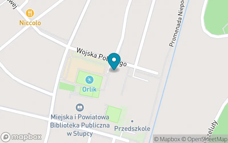 Lokalizacja: Szkoła Podstawowa Specjalna w Słupcy