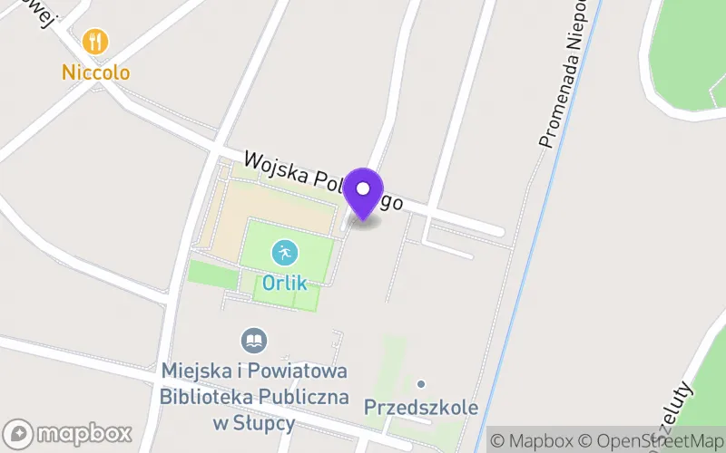 Lokalizacja: Branżowa Szkoła Specjalna w Słupcy