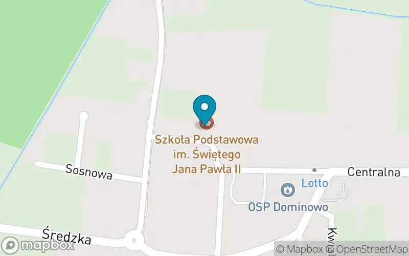 Lokalizacja: Szkoła Podstawowa IM Jana Pawła II w Dominowie