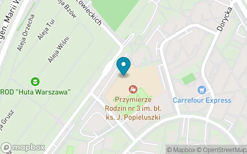 Lokalizacja: Szkoła Podstawowa nr 3 Przymierza Rodzin im. Błogosławionego Ks. Jerzego Popiełuszki
